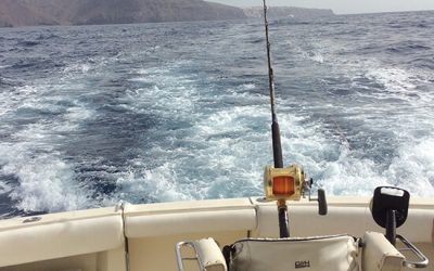 Angler Tips