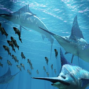 Game Fishing Grenada