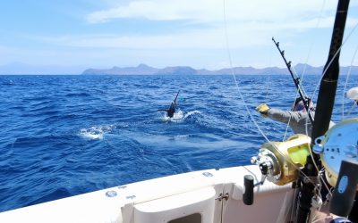 2022 Dates For Cape Verdi