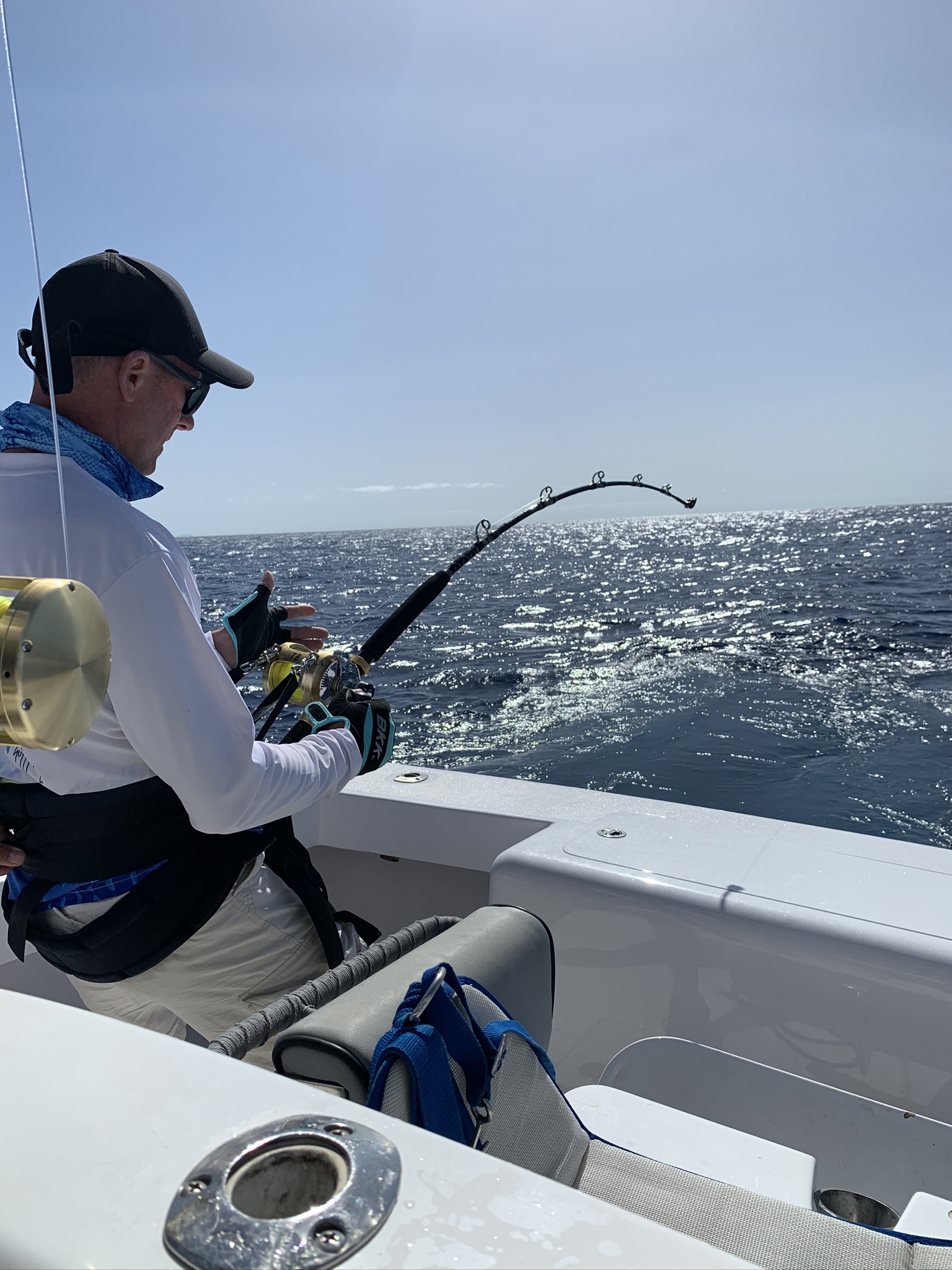 NEWS FLASH Blue Marlin Competition Canaries 2024 - Omerta Worldwide