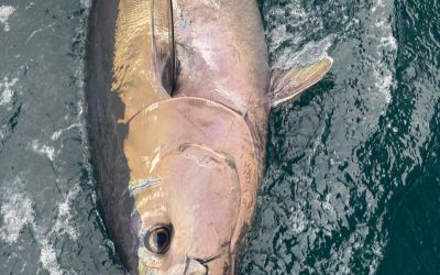 Book that fishing trip of a lifetime