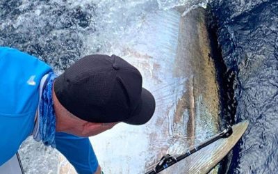 NEWS FLASH 2025 Game fishing season Canaries