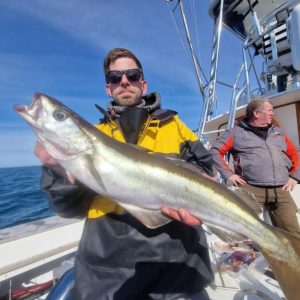 Sea fishing UK - Wreck / Shark / Reef / Tuna