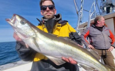 Sea fishing UK – Wreck / Shark / Reef / Tuna